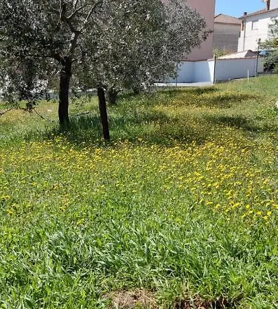 Bruno's House דירה