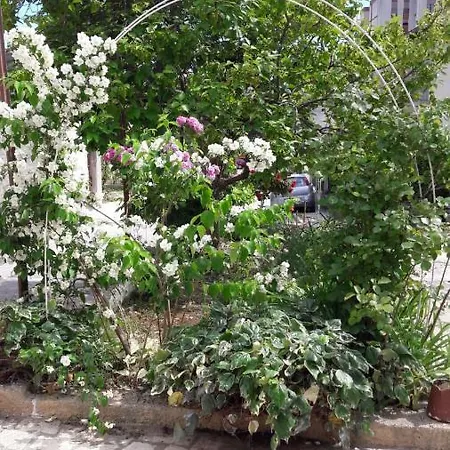 Bruno's House דירה פולה