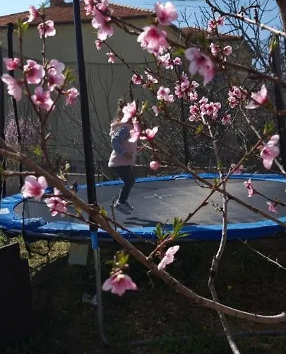 Bruno's House Apartament *