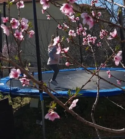 Bruno's House Apartman *