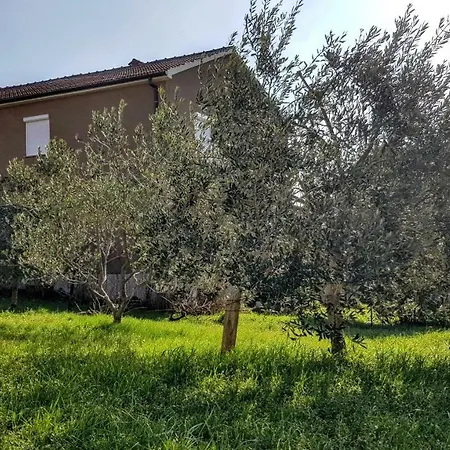 Apartman Bruno's House *