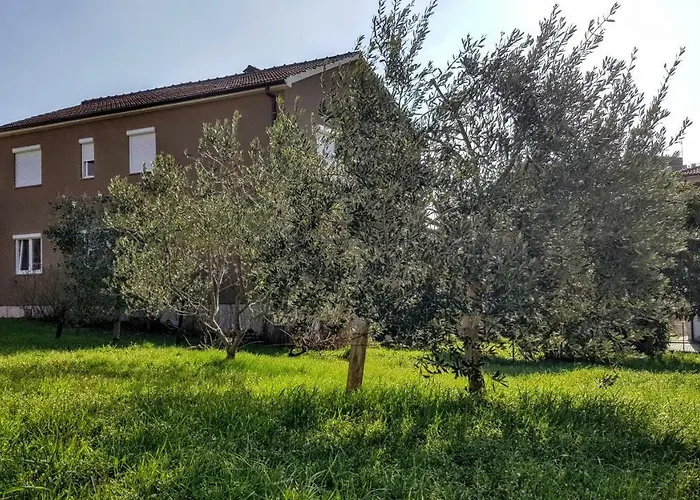 Appartement Bruno's House *